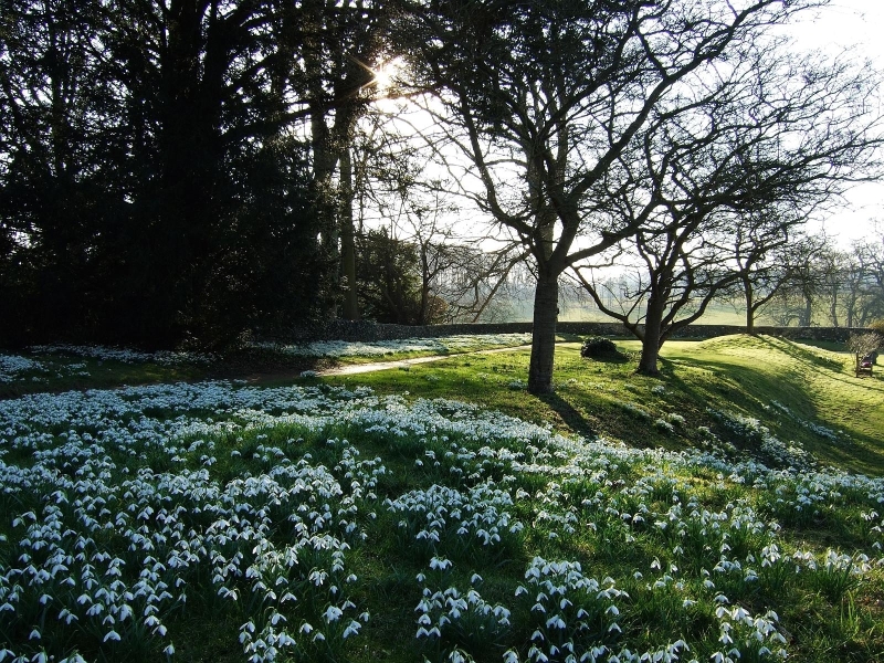 Benington Lordship